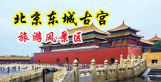 插逼网打炮网中国北京-东城古宫旅游风景区